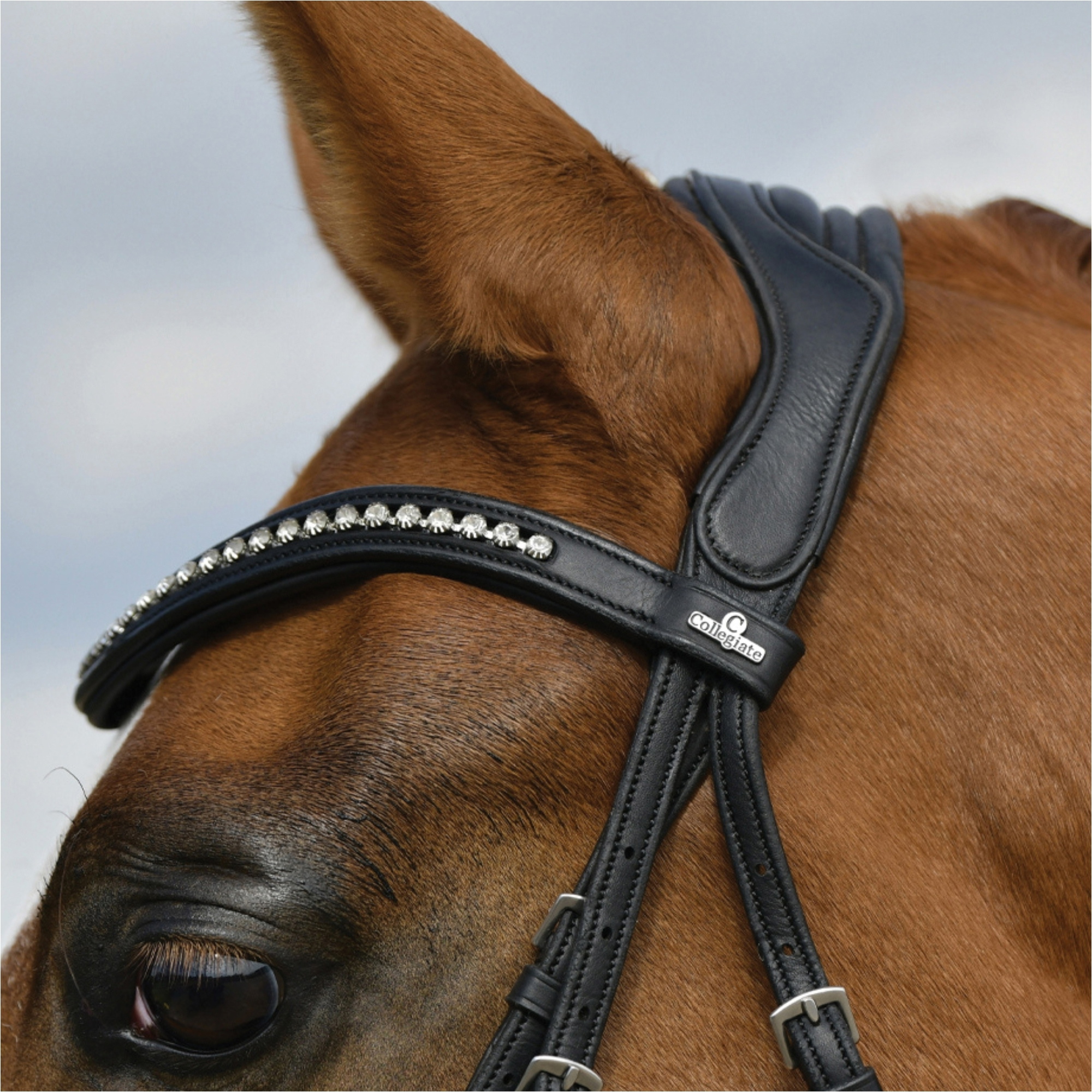 Collegiate Comfitec Opulux Padded Dressage Bridle 102519200 - Black